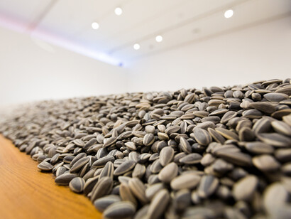 Ai Weiwei
Sunflower Seeds
2010
Porcelain
Display dimensions variable
Purchased with assistance from Tate International Council, the American Patrons of Tate, the Art Fund, and Stephen and Yana Peel 2012
Collection of Tate
© Ai Weiwei
