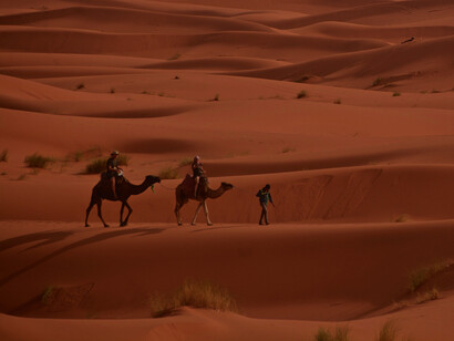 Journeying across the golden sand dunes, they embody the spirit of resilience and connection to their homeland