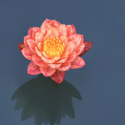 Inner peace: am I becoming a less patient person or witnessing a delayed onset of perfectionist tendencies? 