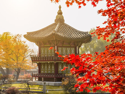 Embrace the captivating essence of autumn at Korea's Gyeongbukgung Palace, where the landscape is painted in hues of red, inviting you to immerse yourself in the natural beauty of the season