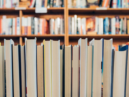  On the Equality of Educational Opportunity