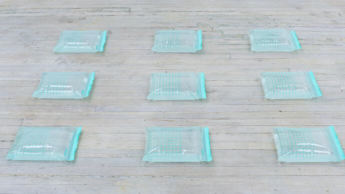 Vanessa Gully-Santiago & Cindy Hinant. Courtesy of 315 Gallery
