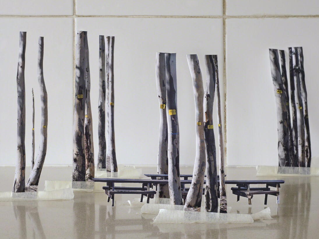 Vera Vladimirsky, Shells #1, 2015, inkjet print, 47 × 72 cm