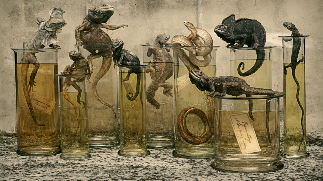 Specimen Jars, 2014, courtesy of Sinke and van Tongeren