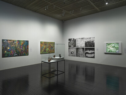 Diversos artistas, Histórias da ecologia, vista da exposição. Cortesia do MASP