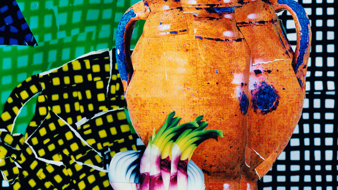 Daniel Gordon, "Onions and Mackerel" (detail), 2015, Courtesy: onestar press et l'artiste