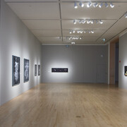 Catherine Wagner. Courtesy of San Jose Museum of Art