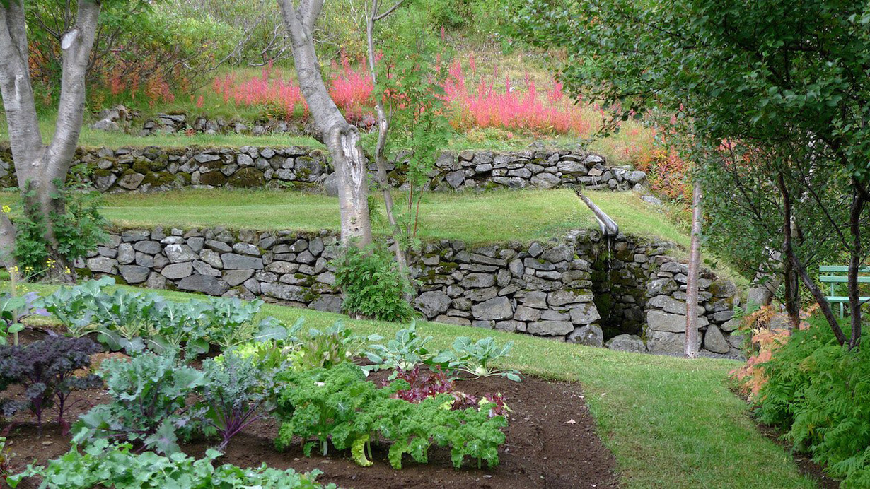 Orto e giardino