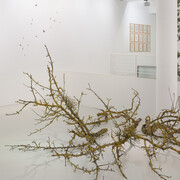 Sandra Ackermann, Anthropozoikum, exhibition view. Courtesy of Gallery Voss