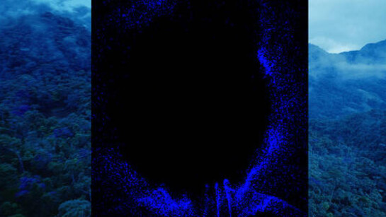 Double Feature. Courtesy of SCHIRN