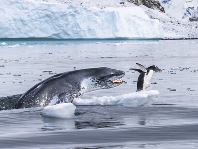 © Eduardo Del Álamo - Wildlife Photographer of the Year