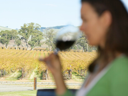 Wine tasting at a winery, Adelaide, Australia