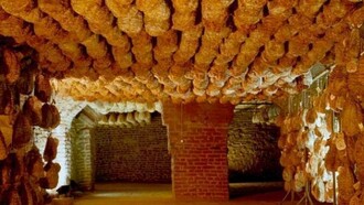 I culatelli di casa Spigaroli