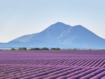 Il n'existe pas de grand penseur moderne qui ne se soit exprimé sur ce problème des vraies propriétés des choses