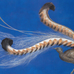 Tim Hayward. Courtesy of Jonathan Cooper Park Walk Gallery