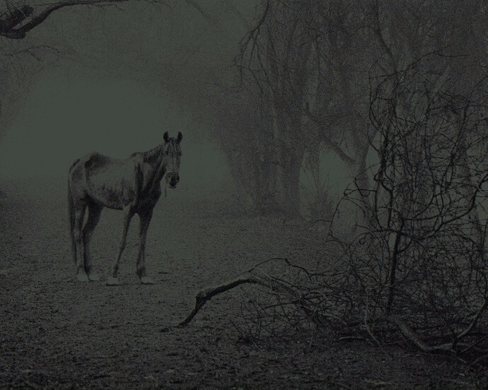 Sebastião Salgado. Courtesy of Robert Klein Gallery
