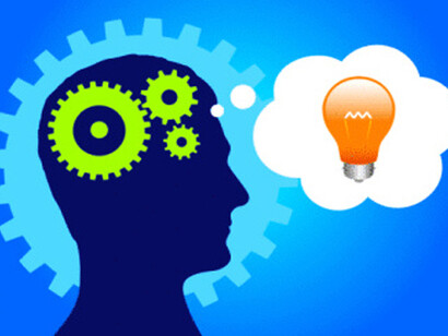 The brain and its functions