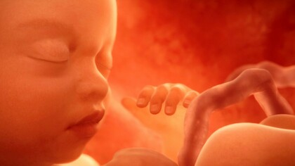 Un bebé en el vientre de su madre