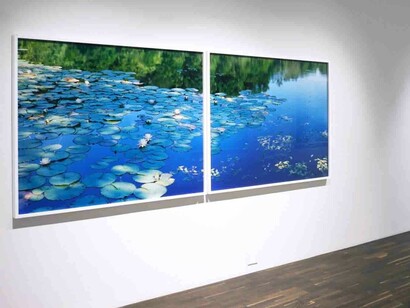 Risaku Suzuki. Courtesy of Christophe Guye Galerie