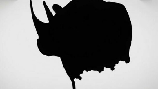 Dwarf and Rhinoceros (With large black shape), 1989/2013 (Detail), archival inkjet prints mounted on lexam with inset aluminum frame, latex paint, archival inkjet print mounted on plexiglas, cdimensions variable