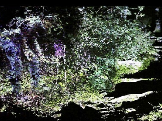 Shinwook Kim,The grass messenger