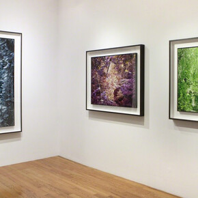 Trade Winds. Courtesy of Miyako Yoshinaga