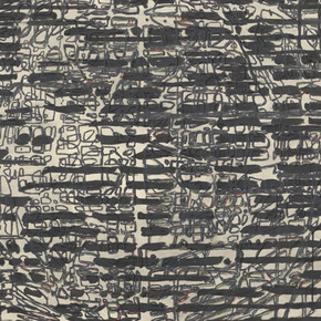 Terry Winters. Courtesy of The Drawing Center