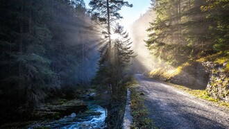 Un camino tantas veces transitado
