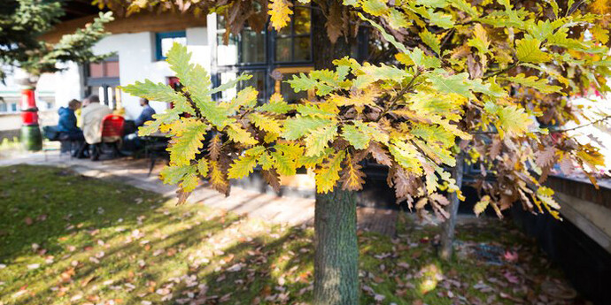 Ecological Commitment. Courtesy of Kunst Haus Wien 