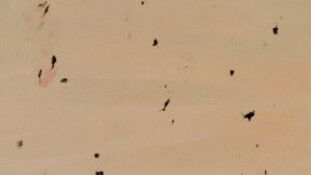 Archives Raoul De Keyser. Courtesy of S.M.A.K.