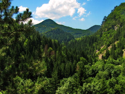 Los matones del gobierno son parte de los
integrantes de las protestas y emplean violencia contra los congregados, llegando incluso a atropellos. Zaovine, Serbia