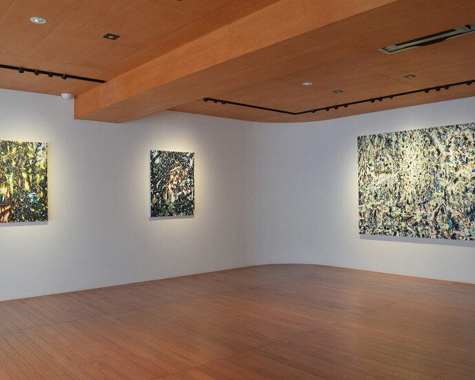 Taishi Hatayama. Courtesy of Sezon Art Gallery