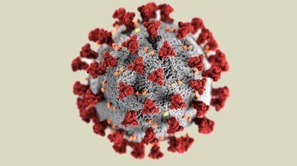 Center for Disease Control depiction of a virus