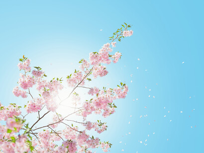 Nella forza della natura