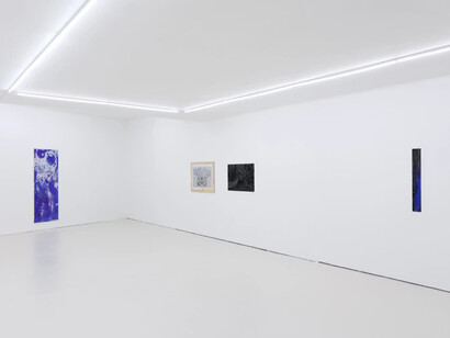 Alex Clarke, Audience, exhibition view. Courtesy of Super Dakota