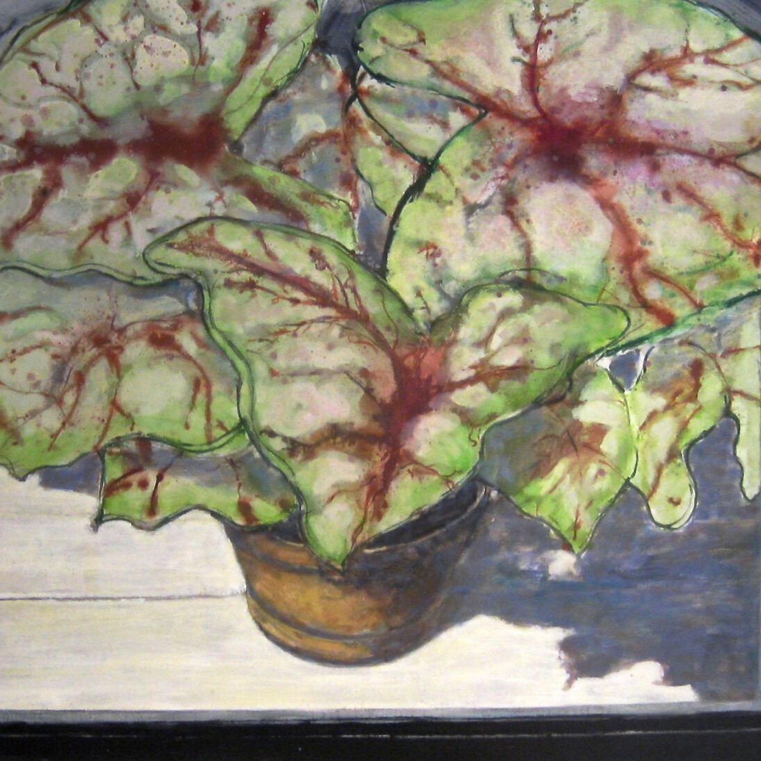 David Konigsberg, Caladium, 2014, oil on canvas, 55 1/4 x 58 1/4 inches
