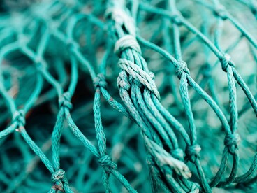 Tra le maglie della rete, il pescatore scoprì una creatura destinata a cambiare forma e a diventare umana