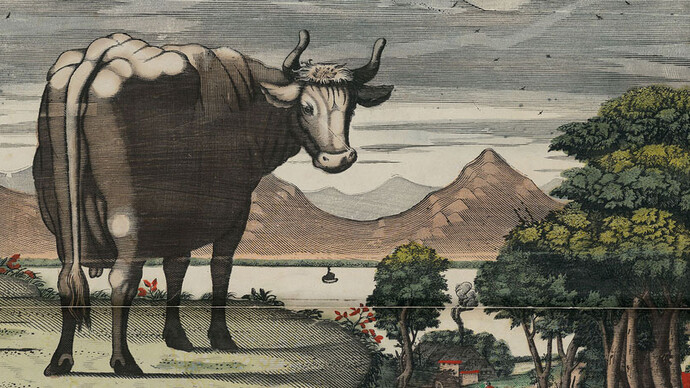 Exchanging Gazes. Courtesy of Kunstbibliothek