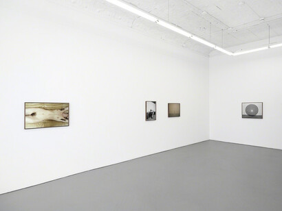 Melanie Schiff. Courtesy of Patron