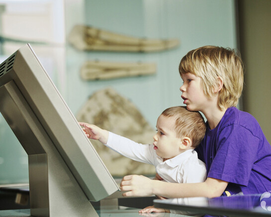 Fossil Gallery. Courtesy Canadian Museum of Nature 