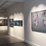 Partners & Mucciaccia