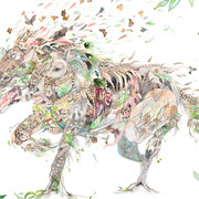Laura Ball
Red Wolf
2018
watercolor, graphite, gold foil, acrylic polymer
32 x 44 in. (81.28 x 111.76 cm)
