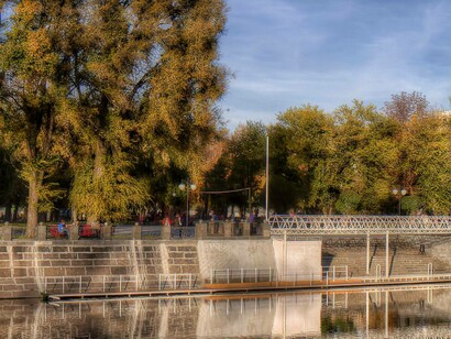 Trees in the autumn in Kharkiv Oblast, Ukraine