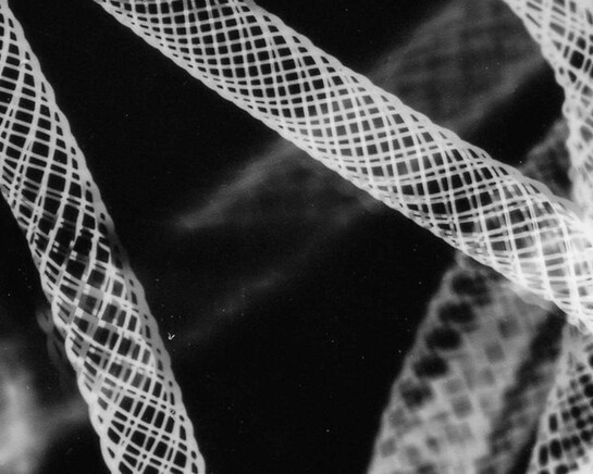 Hidden Light. Courtesy of Museum für Fotografie