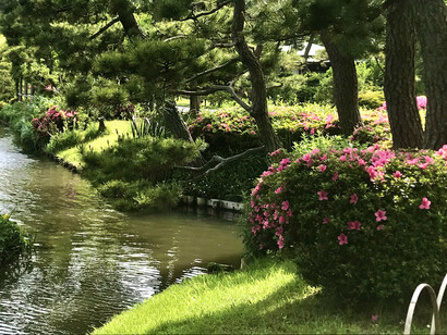 Yokohama. Sankeien Garden and pond © Alma Reyes