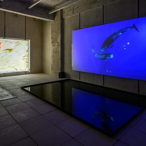 Dominique Knowles, The solemn and dignified, exhibition view. Courtesy of the artist and Kiang 
Malingue. Photo by Samson Wong Pak Hang