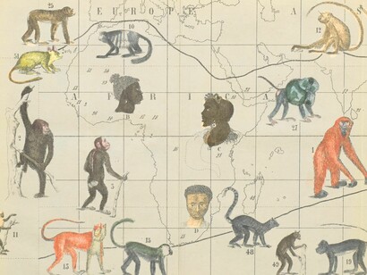 Ilustración de 1857 incluida en el libro Indigenous Races of the Earth, editado por el teórico racial Josiah Clark Nott