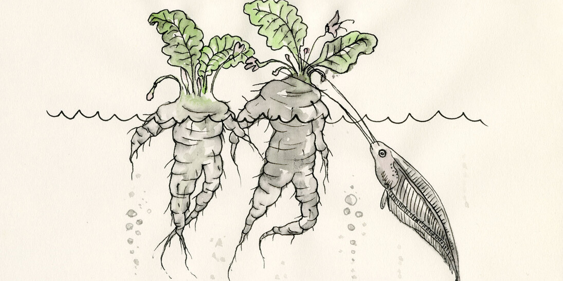 Art Experiment: Laboratories of Earthly Survival. Courtesy of Garage Museum of Contemporary Art