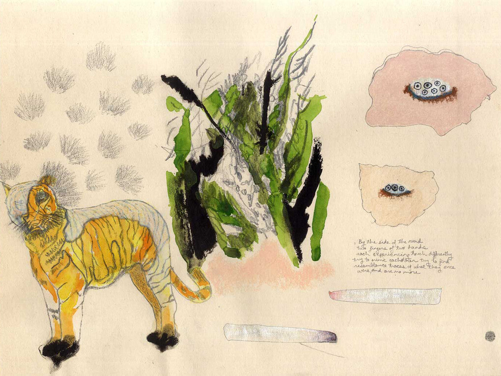 Jumana Emil Abboud, A Happy Ending part II: Two Skins, 2015, Pencil, gouache and pastel on paper. Image courtesy and © the artist