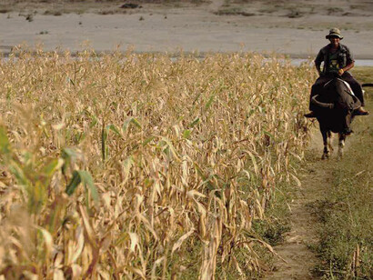 According to the FAO, the planet’s food systems are capable of producing enough food to do so, and in a sustainable way